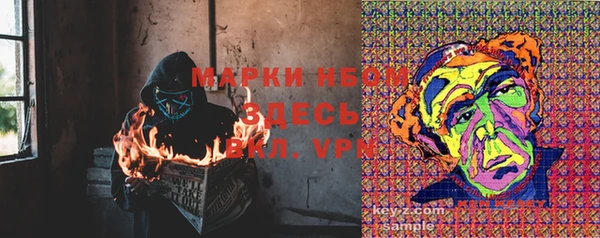 таблы Богородицк