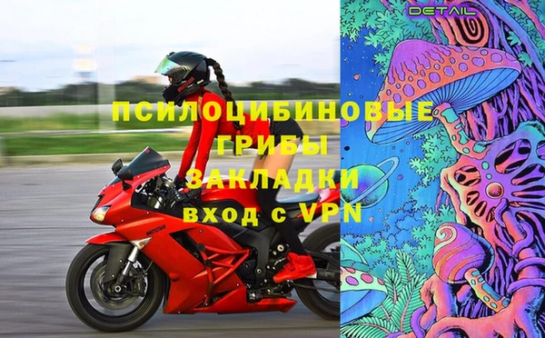 таблы Богородицк