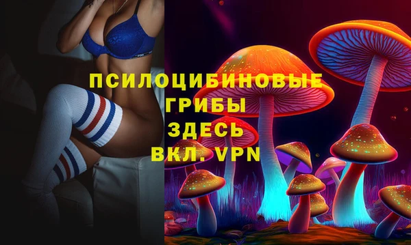 таблы Богородицк