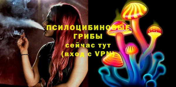 альфа пвп Богданович