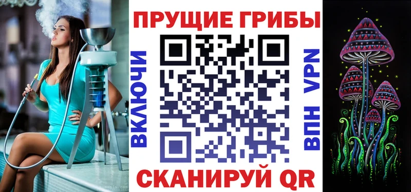 Псилоцибиновые грибы Psilocybe Надым